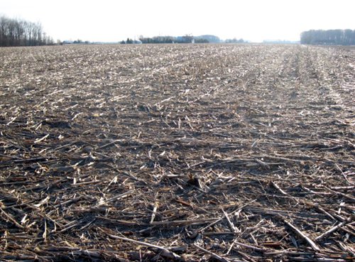 Property photo 6 - 44 Acres Offered in 3 Tracts